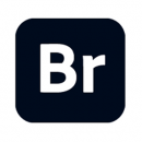 Adobe Bridge 2026破解版下载附安装教程