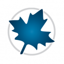 Maple 2026破解版下载附安装教程