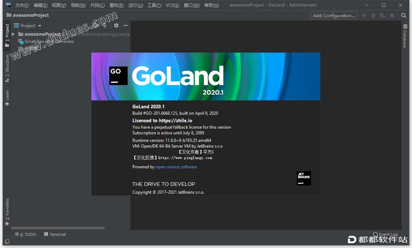 GoLand 2020.1中文破解版下载附安装教程