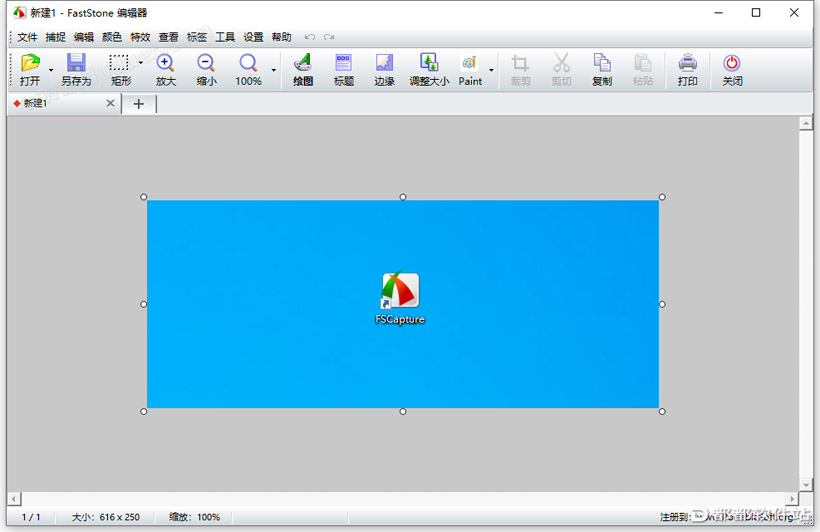 FSCapture 9.0绿色版下载附安装教程