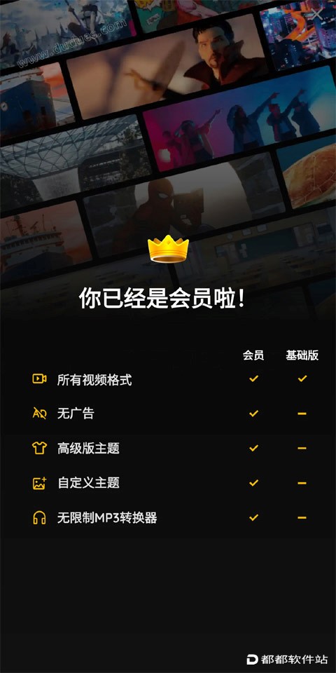 万能纯净高级播放器 For 电脑版/安卓版